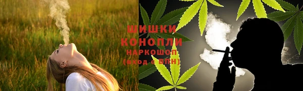 гидропоника Инта