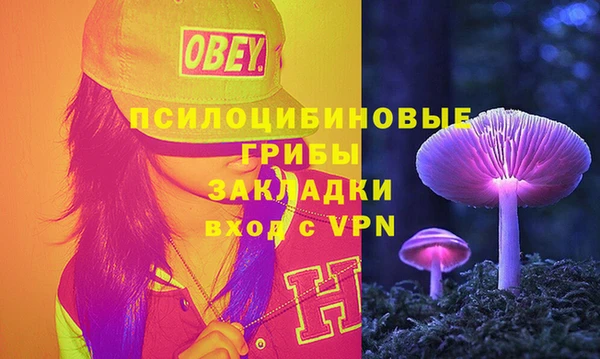 стаф Иннополис