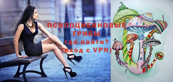 стаф Иннополис