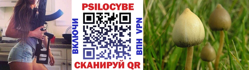 это состав Черняховск Псилоцибиновые грибы Magic Shrooms