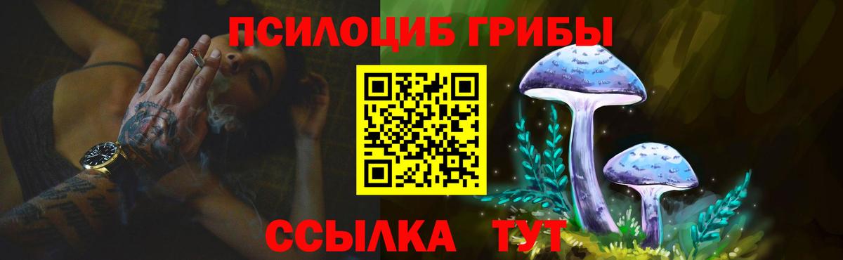 Псилоцибиновые грибы мицелий  Вход с VPN  Черняховск 