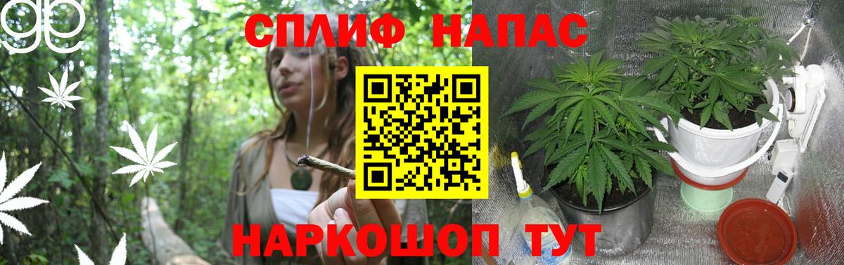 Бошки Шишки White Widow Черняховск